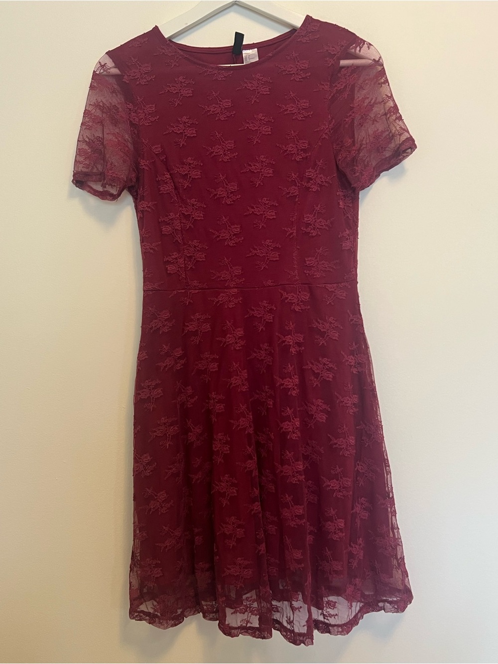 H&M Burgundy Floral Lace Mini Dress